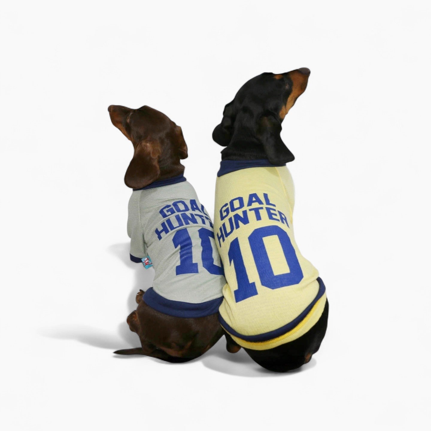 AthleDox-Dachshund-Athlete-T-Shirt.jpg