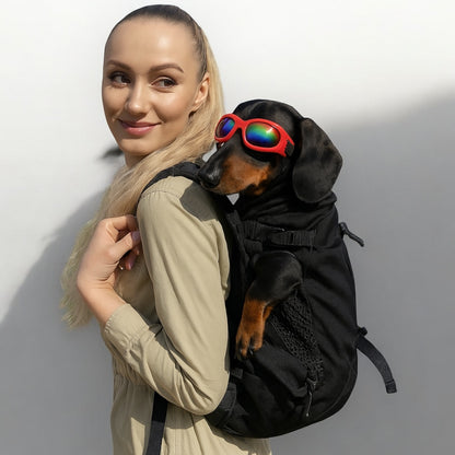 Backpack carrier for dachshunds with back support