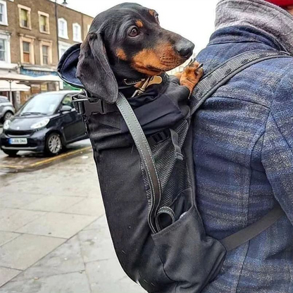 Backpack carrier for dachshunds with back support, view 8