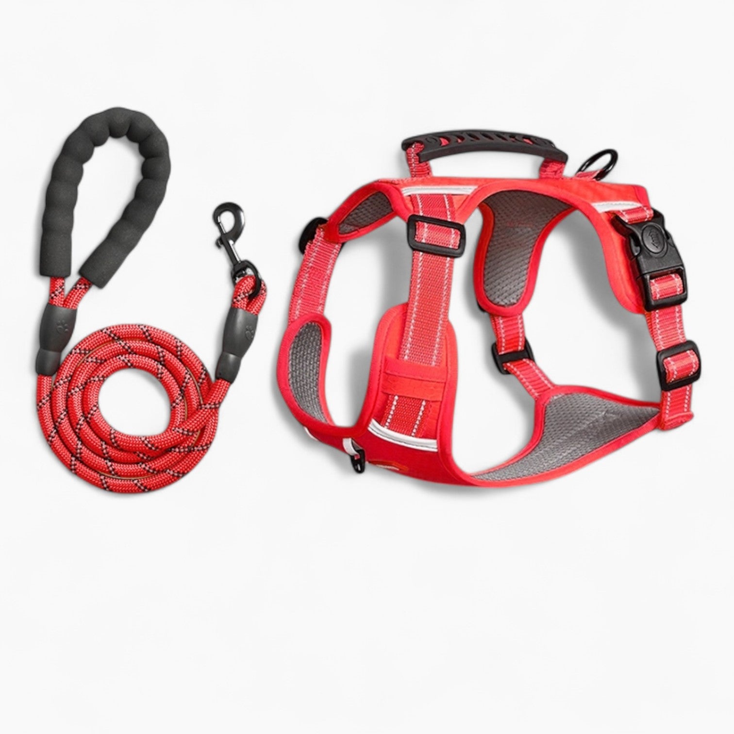 BarkLuxe-Dachshund-Harness-Leash-Set.jpg