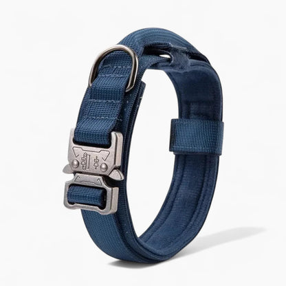 BarkOps-Dachshund-Tactical-Collar.jpg