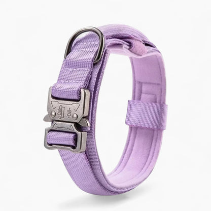 BarkOps-Dachshund-Tactical-Collar.jpg