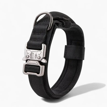 BarkOps-Dachshund-Tactical-Collar.jpg