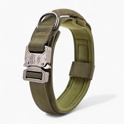 BarkOps-Dachshund-Tactical-Collar.jpg