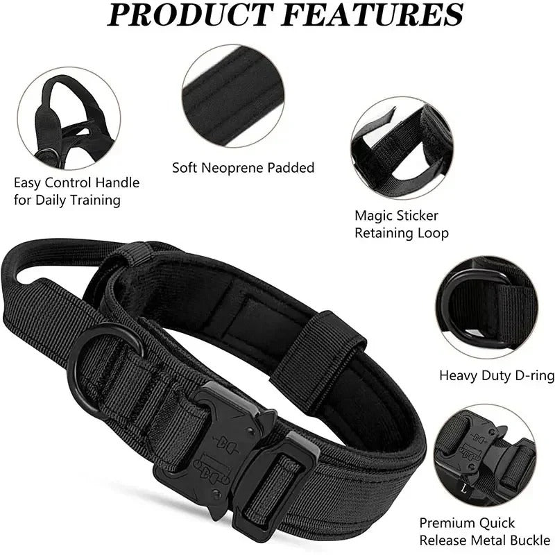 BarkOps-Dachshund-Tactical-Collar.jpg