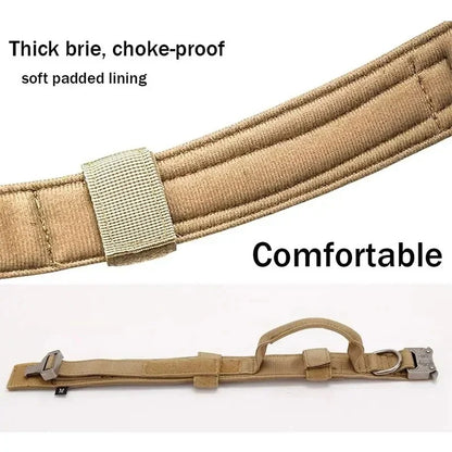 BarkOps-Dachshund-Tactical-Collar.jpg