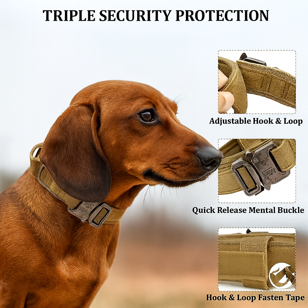 BarkOps-Dachshund-Tactical-Collar.jpg