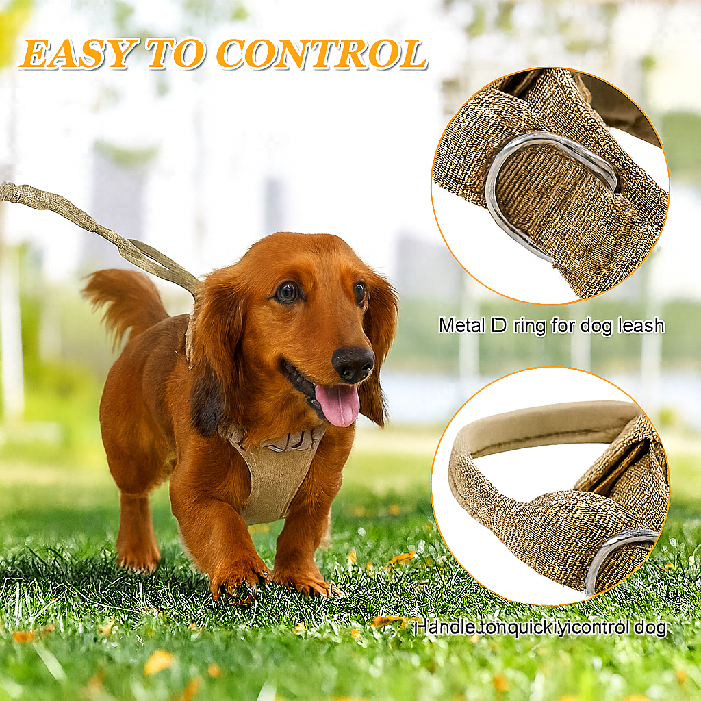 BarkOps-Dachshund-Tactical-Collar.jpg