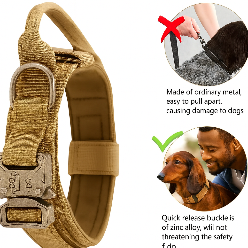 BarkOps-Dachshund-Tactical-Collar.jpg