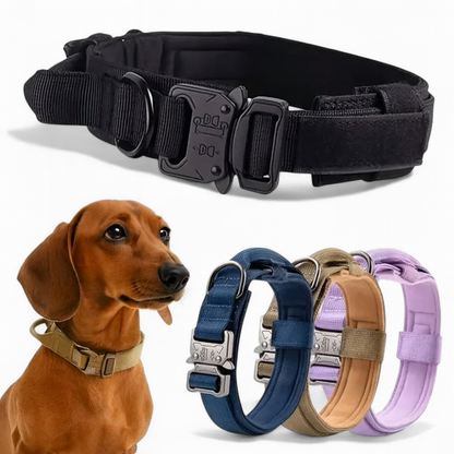 BarkOps-Dachshund-Tactical-Collar.jpg