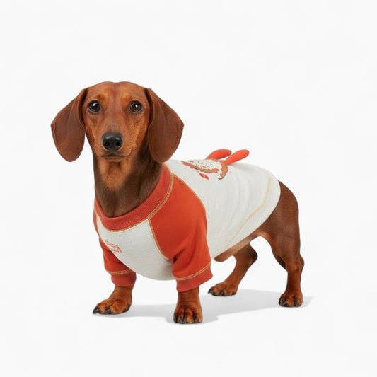 BarkToria-Dachshund-Pizza-Sweatshirt.jpg