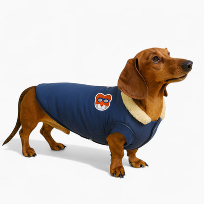 Barkana-Dachshund-Winter-Jacket.jpg