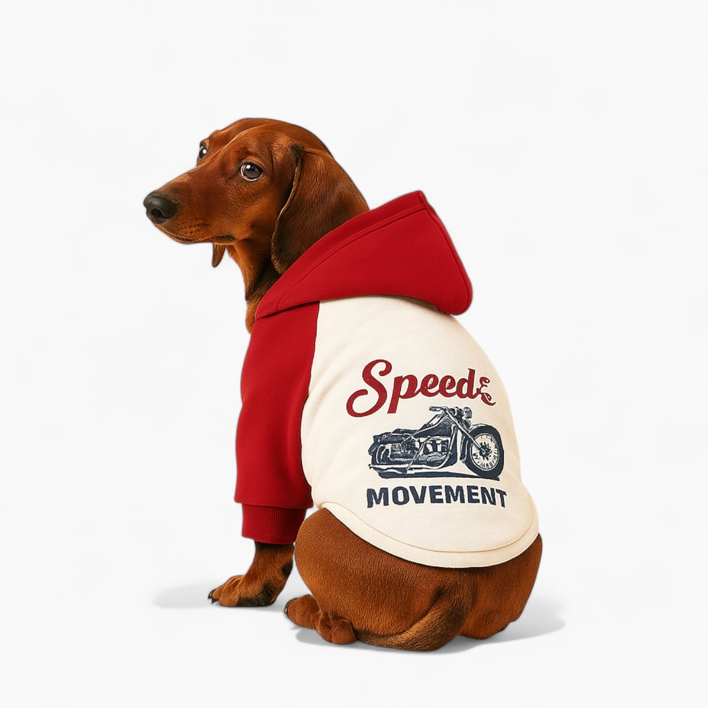 Barknado-Dachshund-Dog-Human-Hoodie.jpg