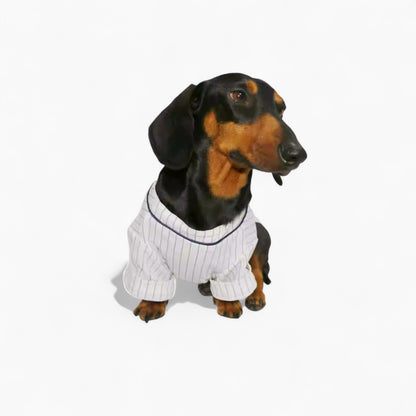 BasePup-Dachshund-Baseball-Jersey.jpg