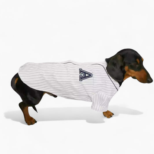 BasePup-Dachshund-Baseball-Jersey.jpg