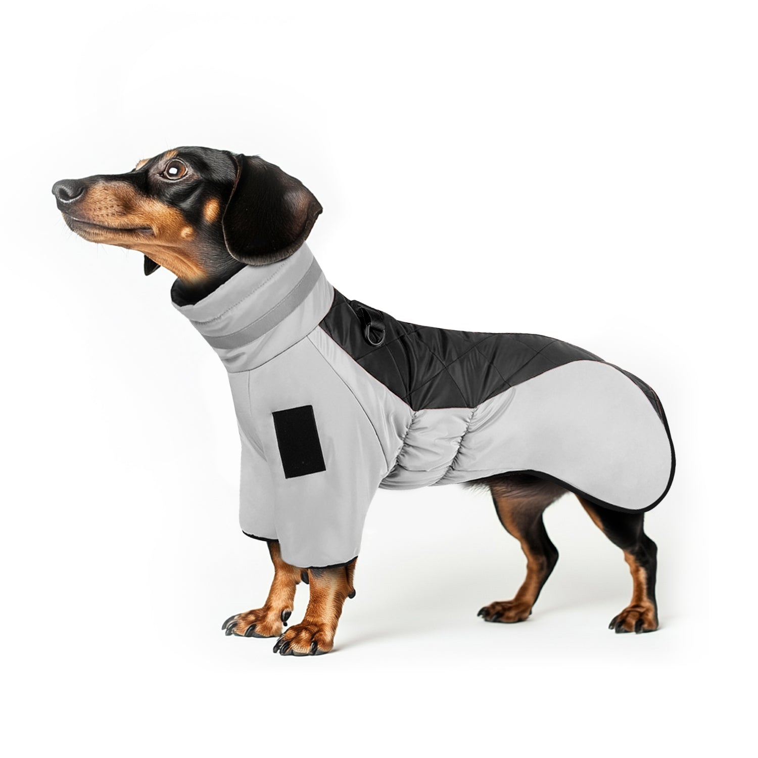 FrostGlow-Deachshund-Winter-Jacket-Reflective-High-Collar-Doxie-Vest-www.doxie.us