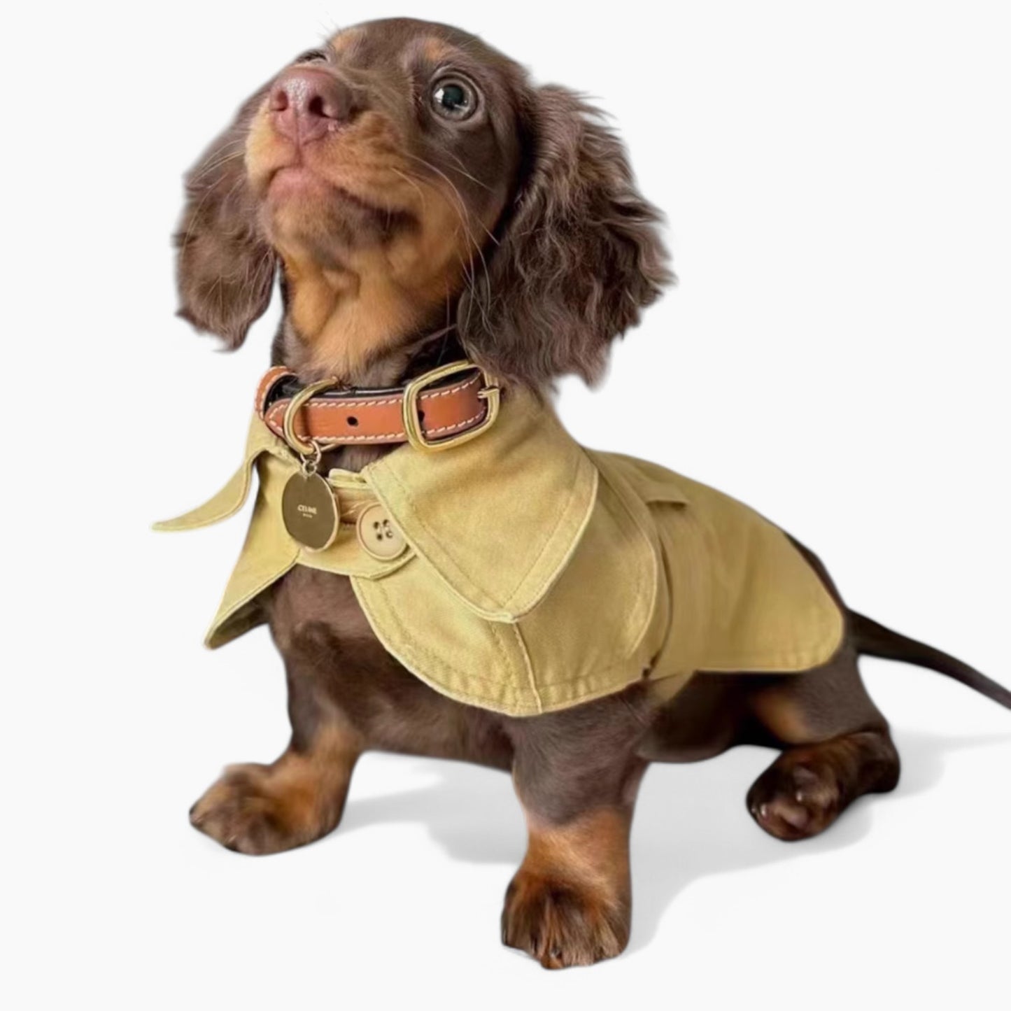 BlasTix-Dachshund-Retro-Coat.jpg