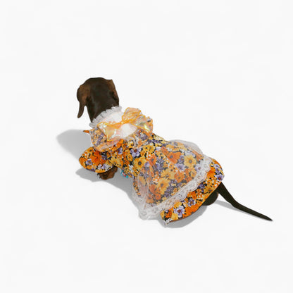 BloomBow-Dachshund-Summer-Dress.jpg