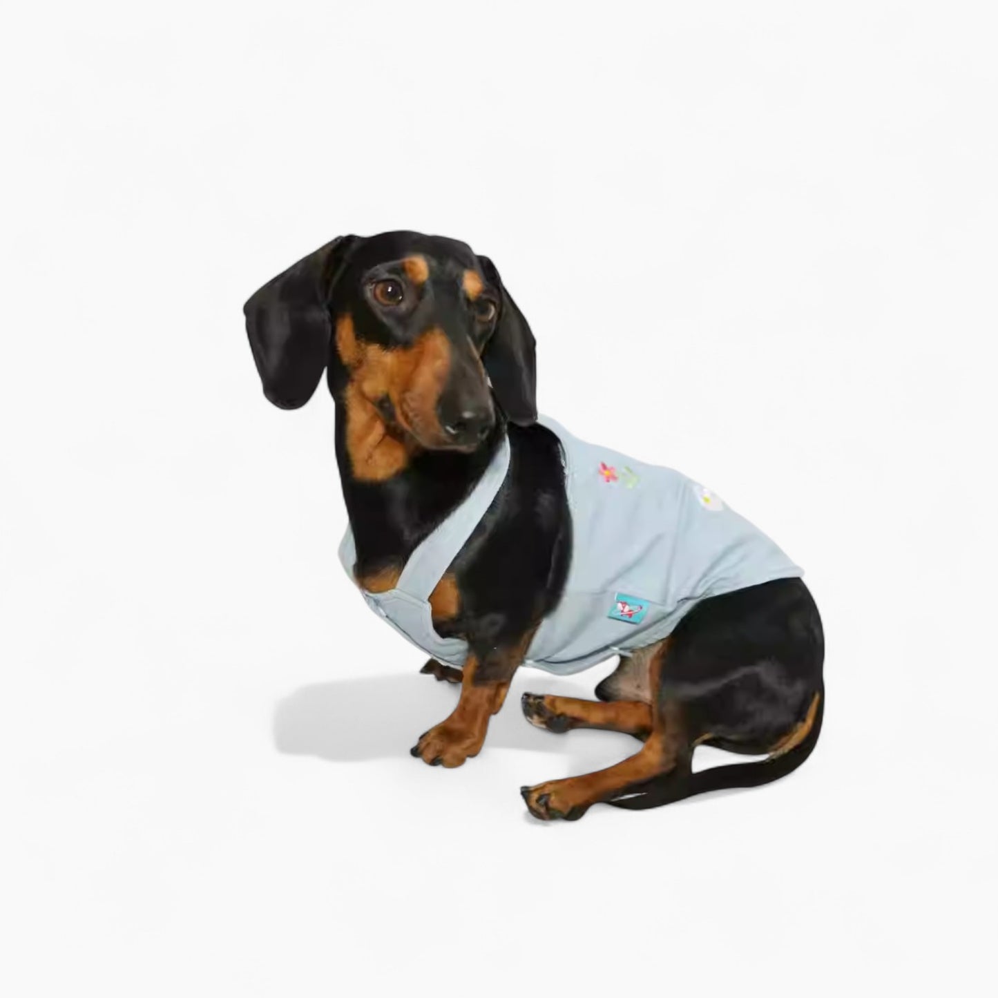 BloomVest-Dachshund-Summer-Vest.jpg
