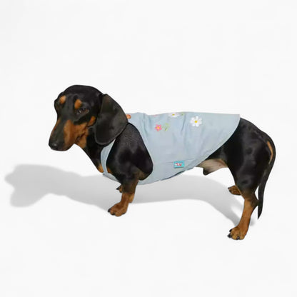 BloomVest-Dachshund-Summer-Vest.jpg