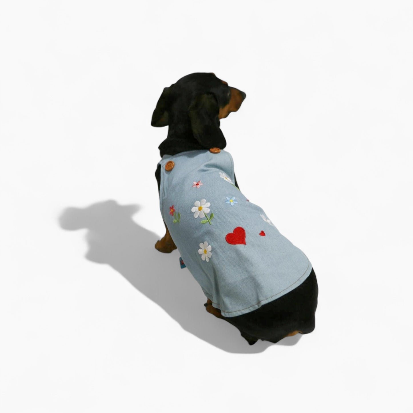 BloomVest-Dachshund-Summer-Vest.jpg