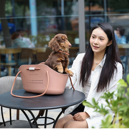 BonePup-Dachshund-Portable-Carrier.jpg