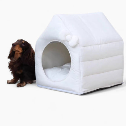 BowCotton-Dachshund-House.jpg