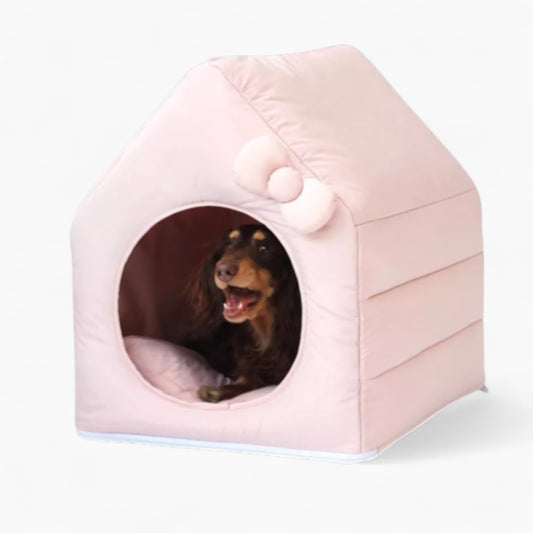 BowCotton-Dachshund-House.jpg
