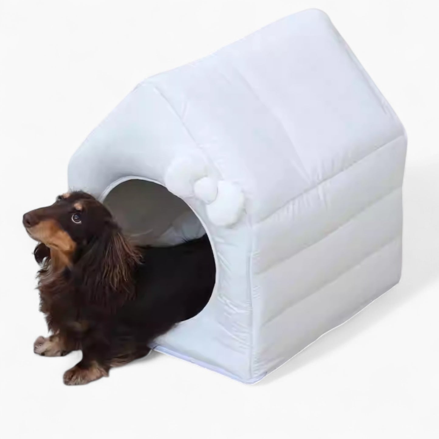 BowCotton-Dachshund-House.jpg