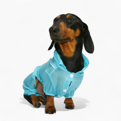 BreezeGuard-Dachshund-Summer-Suit.jpg