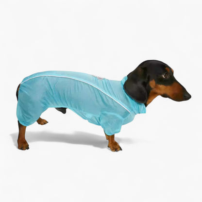 BreezeGuard-Dachshund-Summer-Suit.jpg