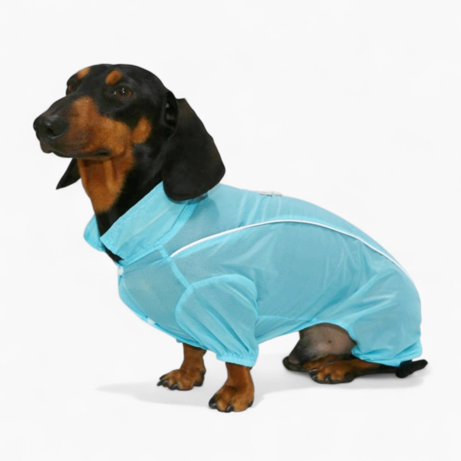 BreezeGuard-Dachshund-Summer-Suit.jpg