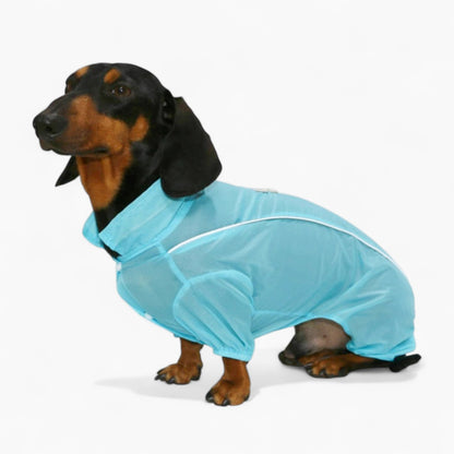 BreezeGuard-Dachshund-Summer-Suit.jpg