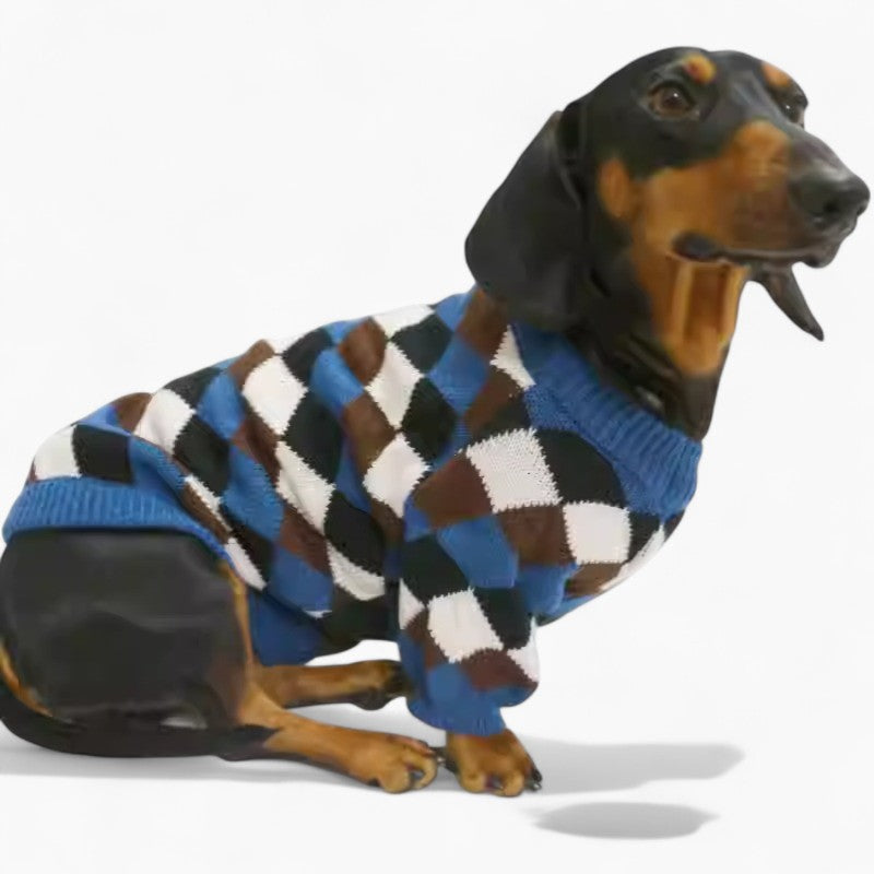 Britthund-Dachshund-Argyle-Sweater.jpg