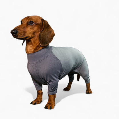 BugShield-Dachshund-Protective-Suit.jpg