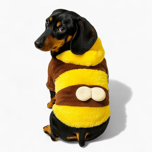 BulmBle-Dachshund-Bee-Sweater.jpg
