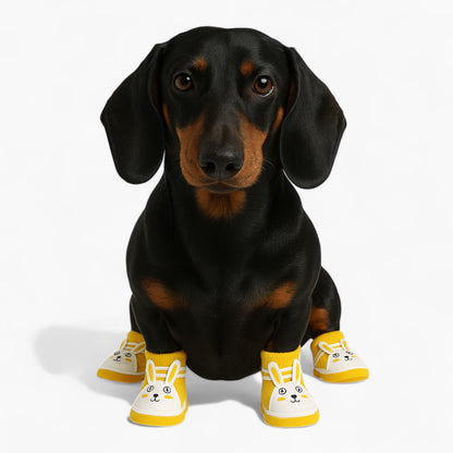 BunnyPaw-Dachshund-Summer-Shoes.jpg