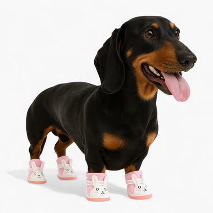 BunnyPaw-Dachshund-Summer-Shoes.jpg