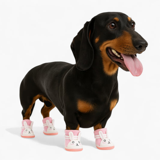 BunnyPaw-Dachshund-Summer-Shoes.jpg