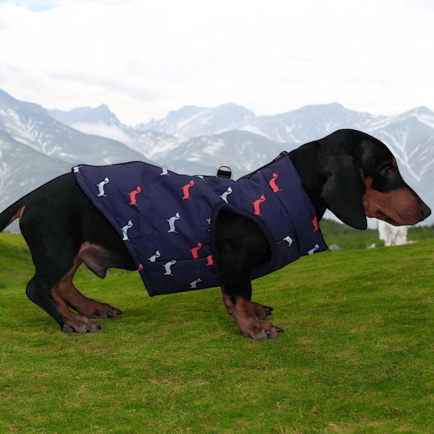 Dachshund Winter Zipper Coat - Windproof Warm Vest for Small Pets