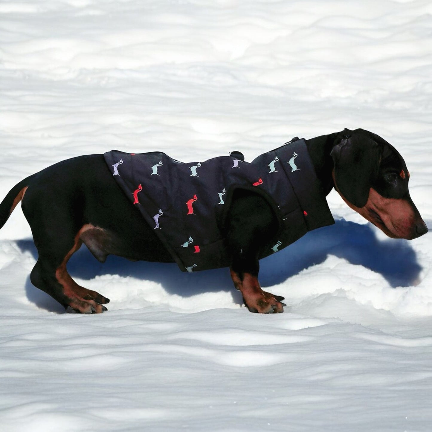 Dachshund Winter Zipper Coat - Windproof Warm Vest for Small Pets