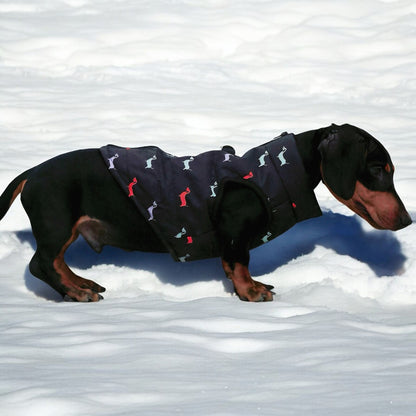 Dachshund Zipper Vest Windproof Winter Jacket