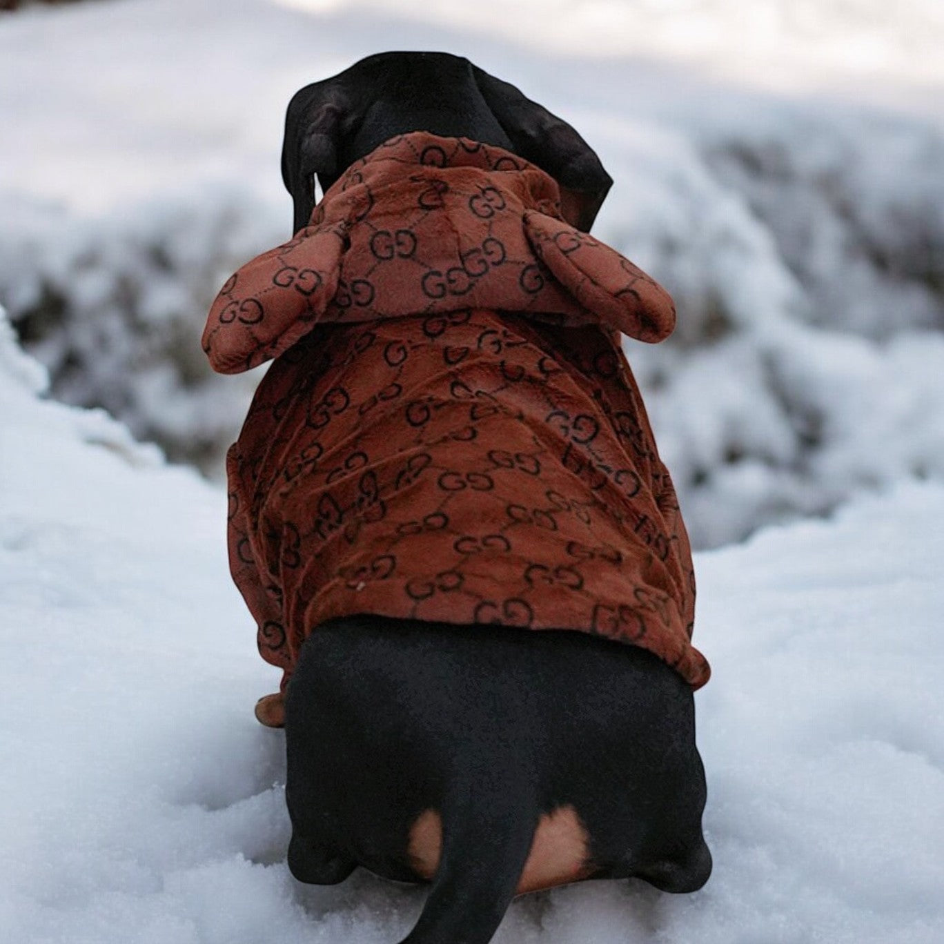 Premium Dachshund Bear Hoodies