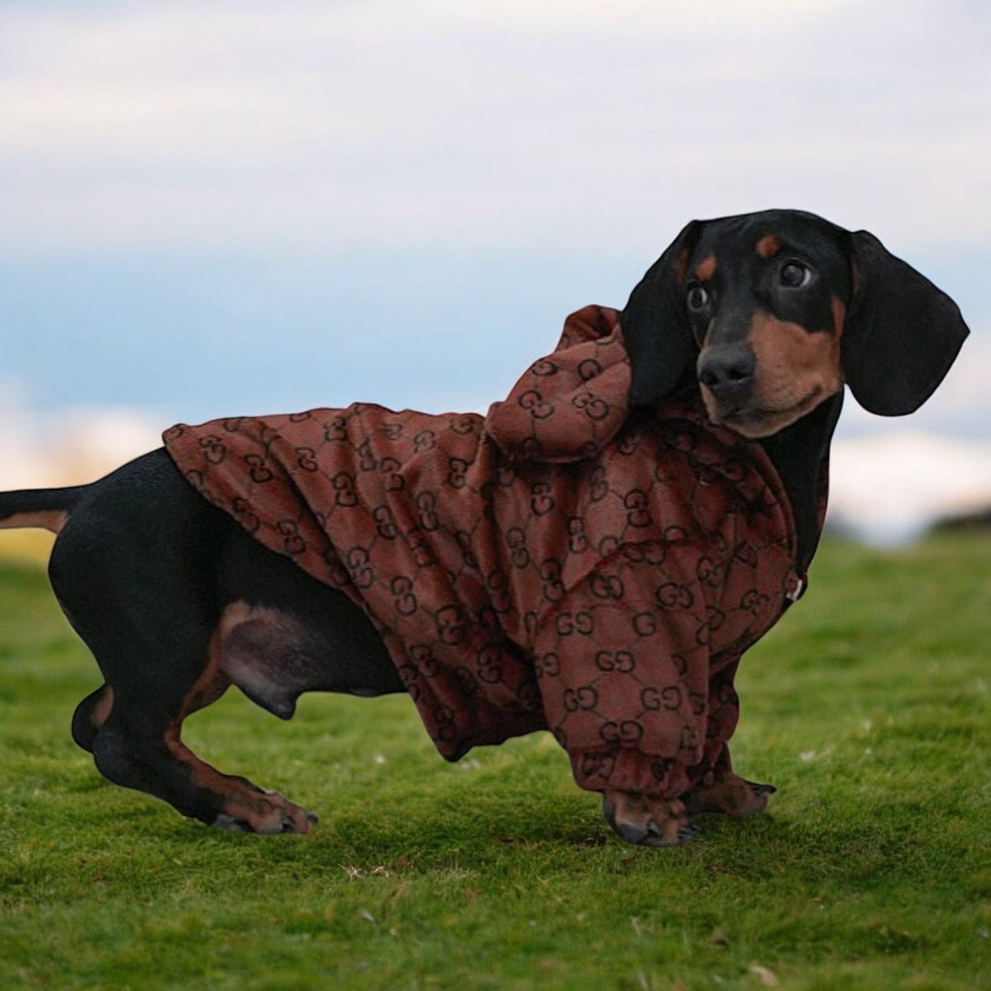 Premium Dachshund Bear Hoodies