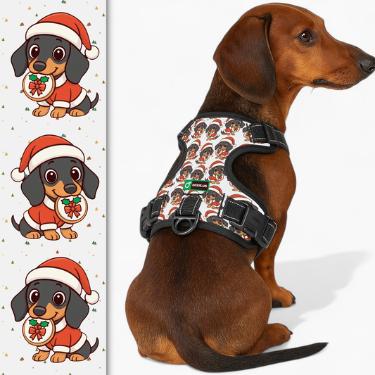 Kevin -  No-Pull Dachshund Dog Harness