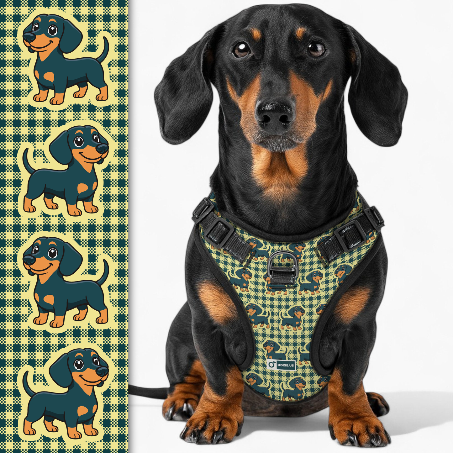 Snickers -  No-Pull Dachshund Dog Harness