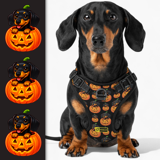 Sadie -  No-Pull Dachshund Dog Harness