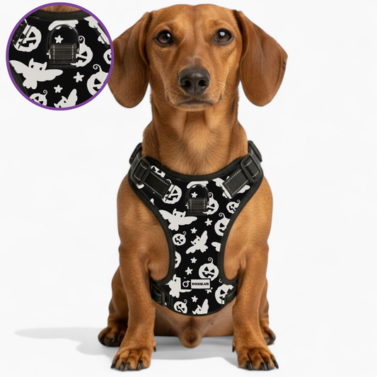 Poppy -  No-Pull Dachshund Dog Harness