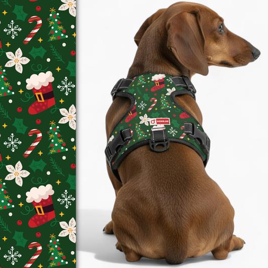 Birdie -  No-Pull Dachshund Dog Harness