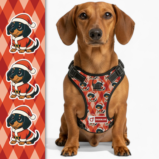 Jack -  No-Pull Dachshund Dog Harness